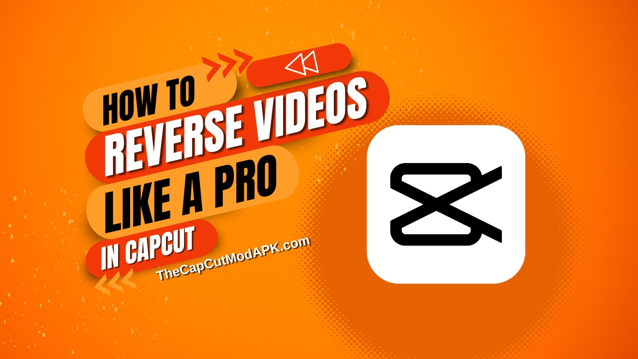 How to Reverse Videos Like a Pro in CapCut: A Complete Guide 1 How to Reverse Videos Like a Pro in CapCut